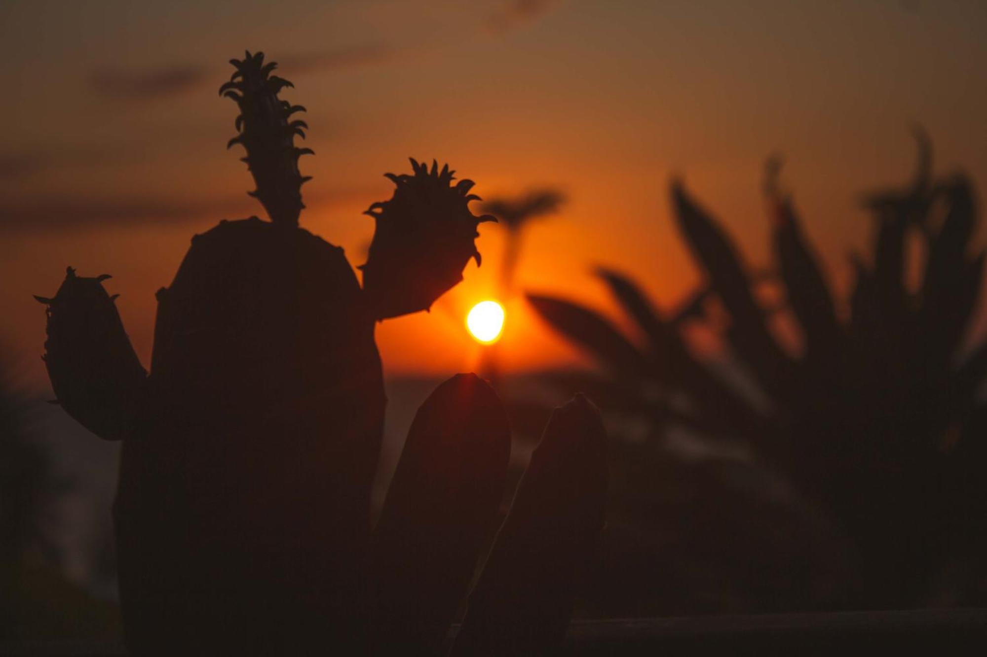Coucher De Soleil Ambatoloaka  Zewnętrze zdjęcie